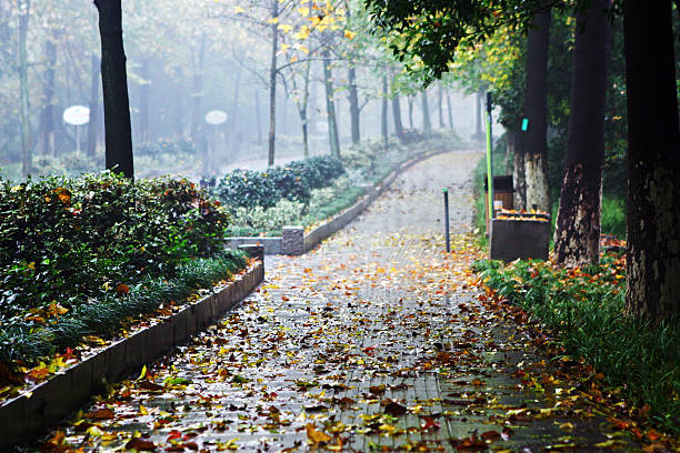 istock The autumn road 522275439