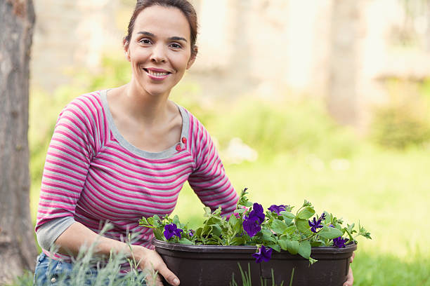 istock Woman gardening 522276415