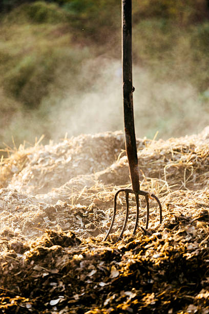 mucking 出力、フォーク - horse dung ストックフォトと画像