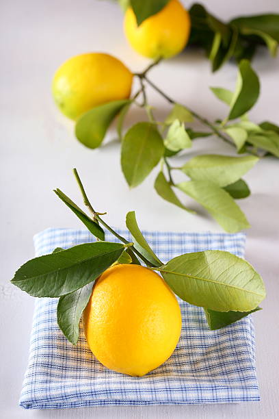 Limone fresco - foto stock