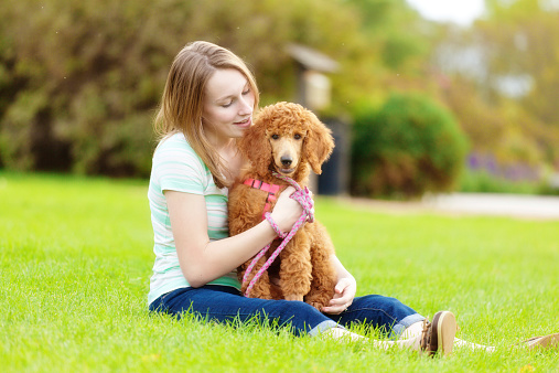 Horizontal portrait of a young woman holding a red Standard Poodle puppy in glowing light of an outdoor setting.