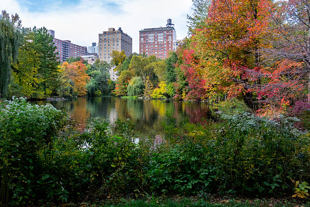 istock Autumn, Central Park, New York City 522292749