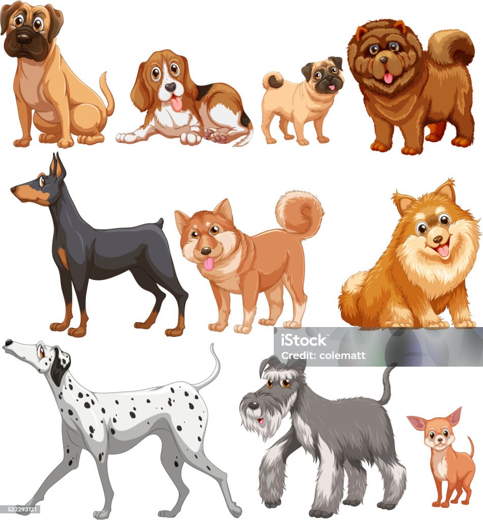 Dogs Illustration of different kind of dogs Animal stock vector