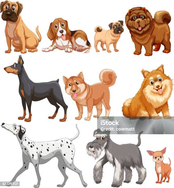 Dogs Stock Illustration - Download Image Now - Animal, Canine - Animal, Clip Art