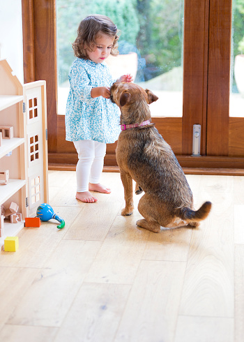 Small child playing with her pet dog.