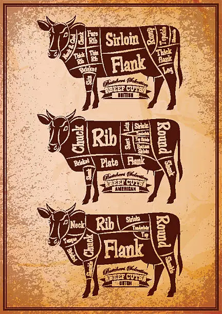 Vector illustration of poster with three different diagram cutting cows