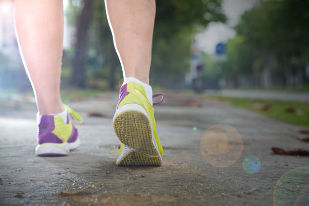 istock Runner jogging beside garden road 522299971
