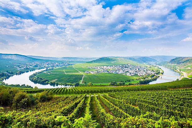 istock famous Moselle Sinuosity with vineyards 522300085