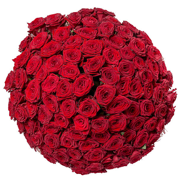 istock Red roses background  natural texture of love 522305382