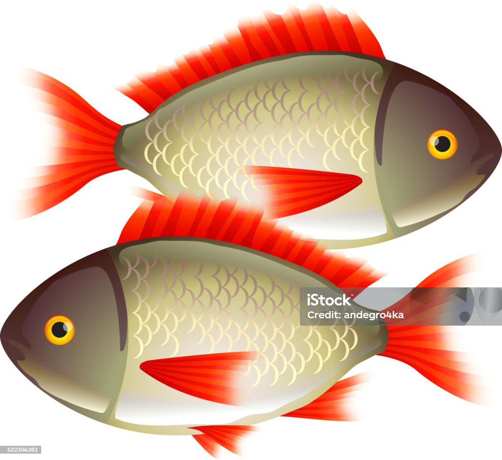 2 Fish Vector Two Fish Isolated On White Vector Stock Illustration - Download Image ...
