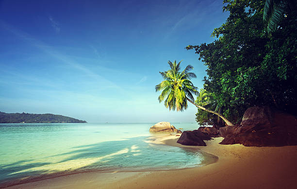 istock early morning, Seychelles beach 522308534