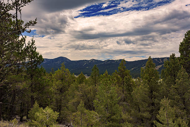 istock View of Forest and Mountains 522309100
