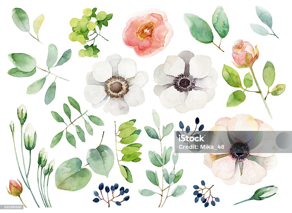 Set of floral elements on white background Set of floral elements isolated on white background. Watercolor illustration Watercolor Painting stock illustration