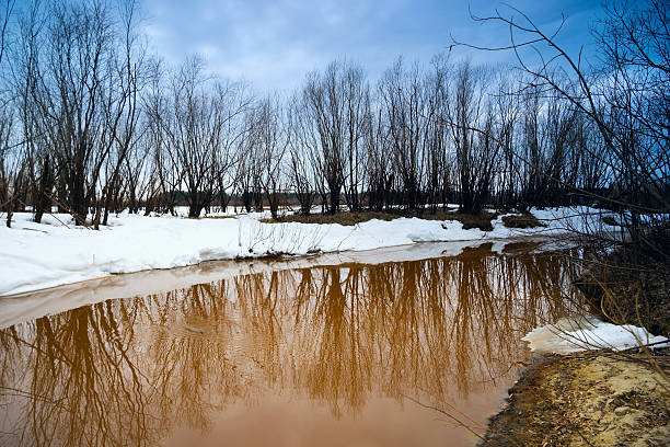 Spring landscape with melting water in the rivulet . Siberia, Yugra.