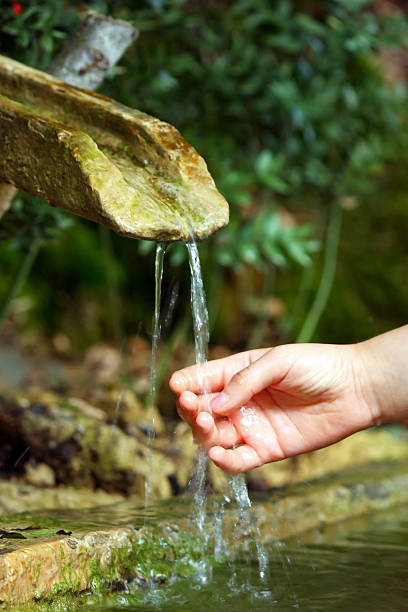 istock Water of life 522311100