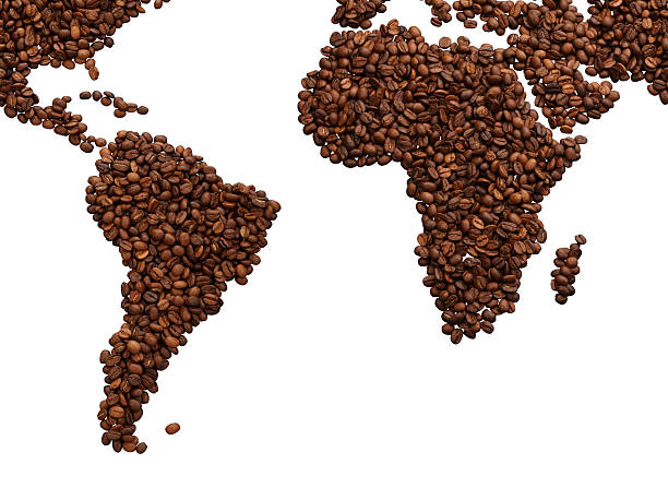 istock Coffee South America and African /with clipping path 522311281