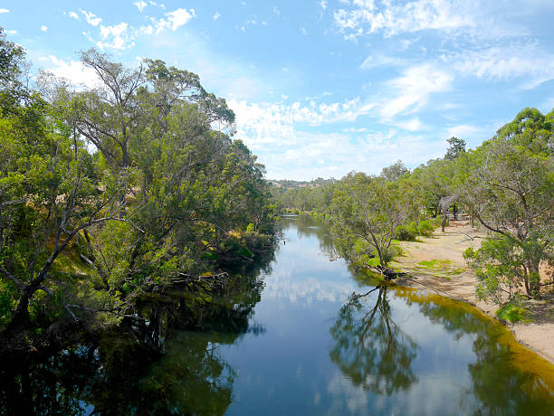 istock Calm Blackwood River on a sunny day 522311304