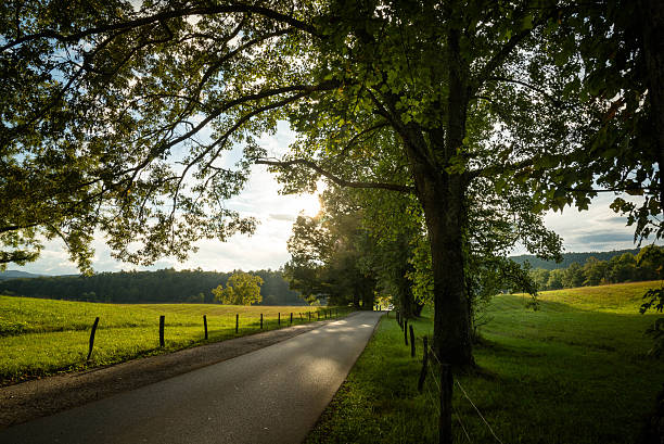 istock Cades Cove road in Tennessee 522311351