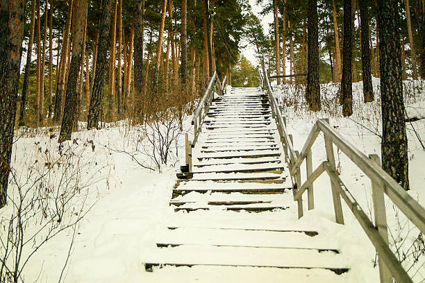 Abandoned wooden staircase stock photo