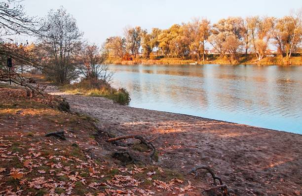 Golden trees on river bank in autumn