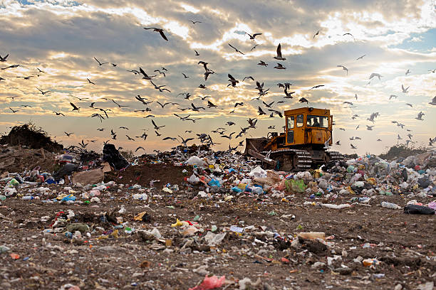 istock Landfill garbage waste dumped in the rubbish dump site 522313313