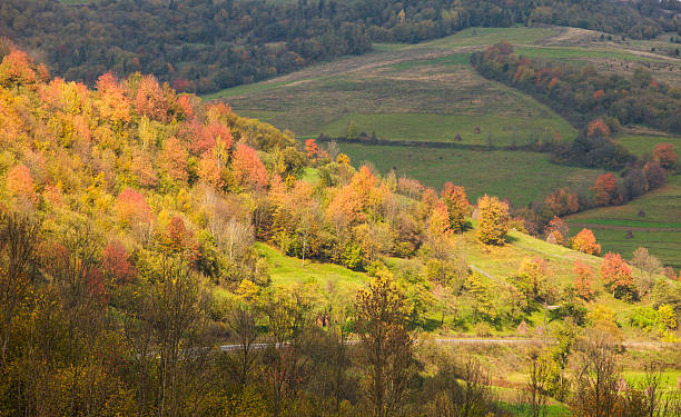 istock autumnal landscape 522313605