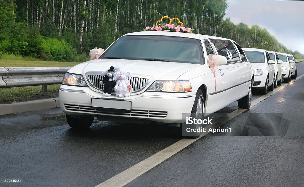 Hochzeits-limousine mit ex-court - Lizenzfrei Hochzeit Stock-Foto