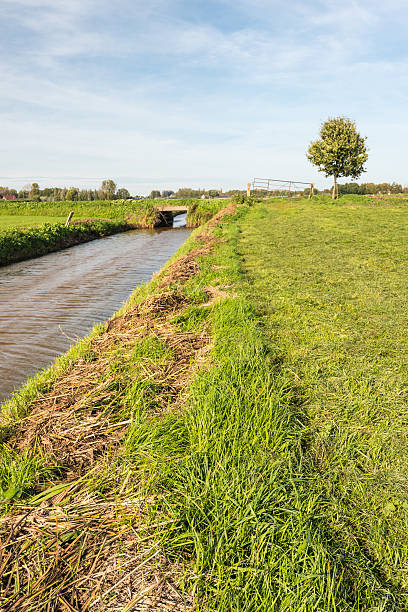 istock Freshly mown grassland bordering on a ditch 522315763