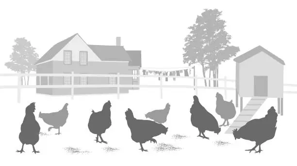 Vector illustration of Country House And Chicken Coop