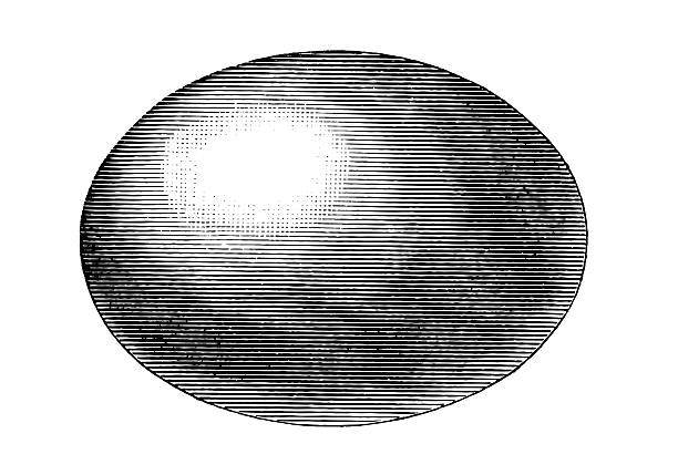ei ellipsoid - engraving eggs engraved image old fashioned stock-grafiken, -clipart, -cartoons und -symbole
