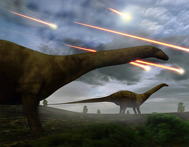 estinzione dei dinosauri sciame meteorico - animale estinto foto e immagini stock