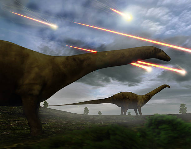 Extinction Of The Dinosaurs Meteor Shower Brontosaurs look upon the meteors raining down that preceded the larger asteroid strike that would lead to the extinction of the dinosaurs 65 million years ago. extinct photos stock pictures, royalty-free photos & images
