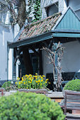 daffodills-in-einer-mittelalterlichen-garten.jpg?b=1&s=170x170&k=20&c=g6kj9lGIHIerfKjN3TaaPsn4lFwv8pdpxjaTyY03nhM=