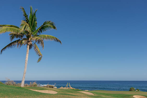 istock Spectacular golf hole in Cabo San Lucas 522324786