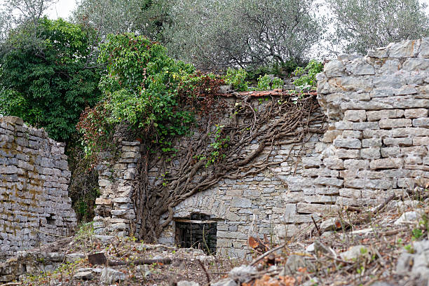 detail of a old medieval abandoned village in italy