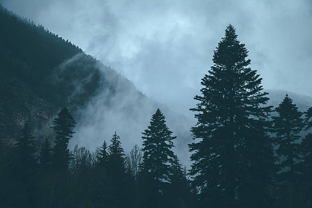 Photo of Mysterious morning in mountains