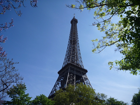 Horizontal shot of the eiffel tower framed by trees on all sides.