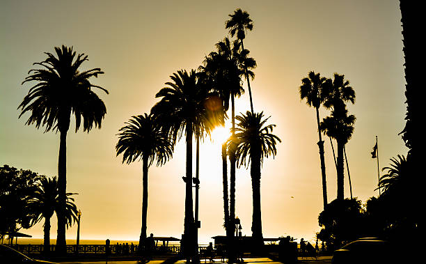 istock Venice Beach, Los Angeles 522327704