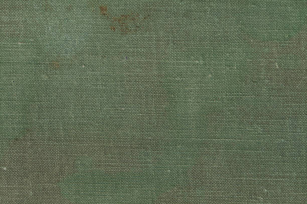 istock Dirty pale green canvas texture 522328134