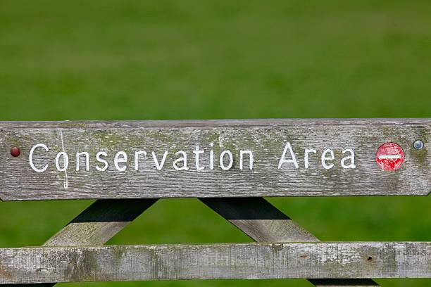 istock Conservation Area Wooden Gate 522328604