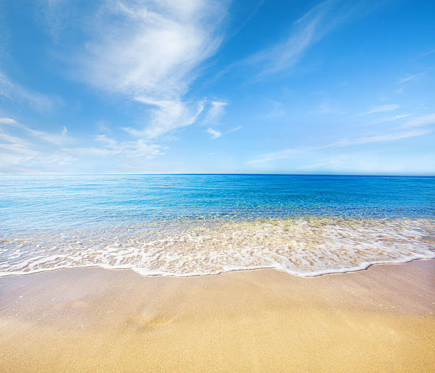 istock beach and tropical sea 522329106
