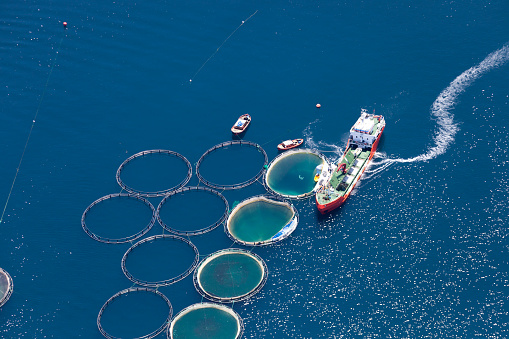 Vista aérea de criadero de pescado photo