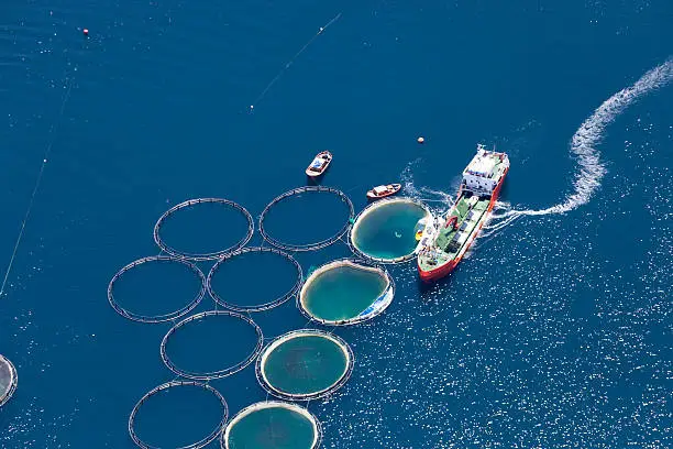 Photo of Aerial view of fish farm