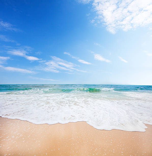 istock beach and tropical sea 522330228