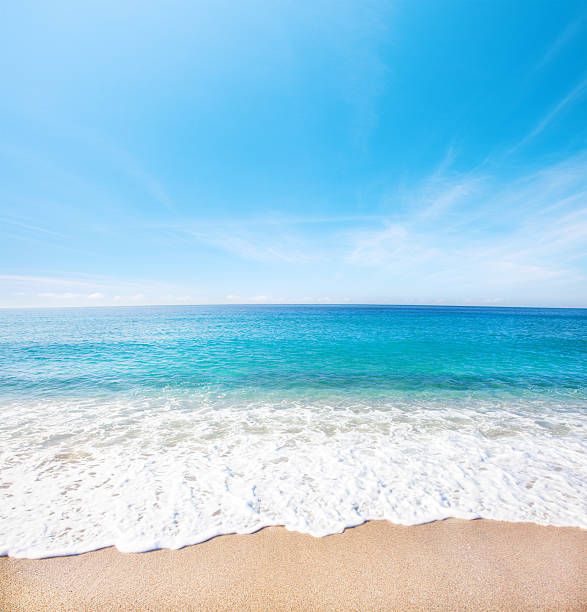 istock beach and tropical sea 522330392