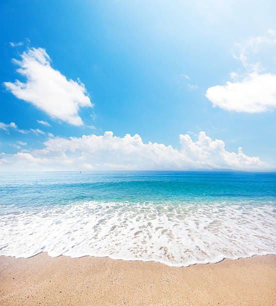 istock beach and tropical sea 522330566