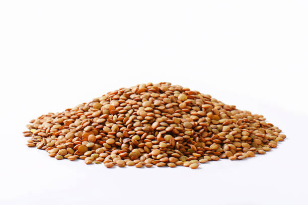 istock Pile of brown lentils 522330879