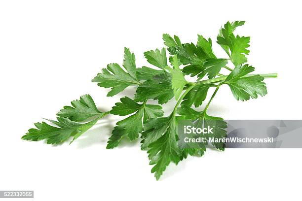 Lovage Stockfoto und mehr Bilder von Liebstöckel - Liebstöckel, Fotografie, Gewürz