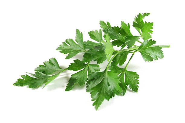 Lovage Lovage lovage stock pictures, royalty-free photos & images