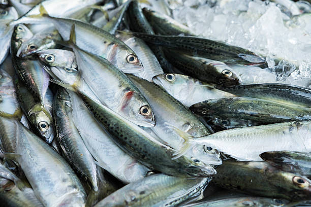 istock fresh fish at the market 522332281